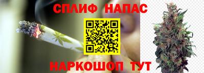 тгк Ипатово