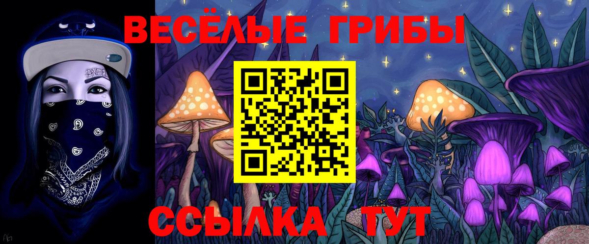 Галлюциногенные грибы Psilocybine cubensis  Галлюциногенные грибы GOLDEN TEACHER  Вход с VPN  Можайск 
